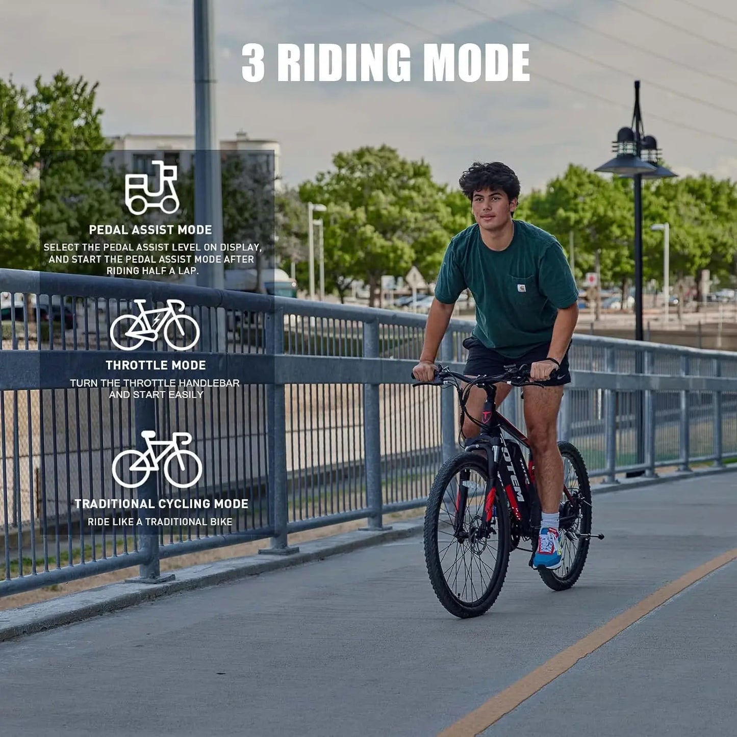 Victor Electric Bike Removable Battery Mountain eBike for Adults.