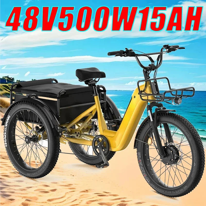 three wheel Electric Bike 500W Motor .