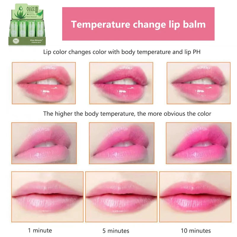 Wholesale Bulk 24/12PCSLip Balm Set Beauty .