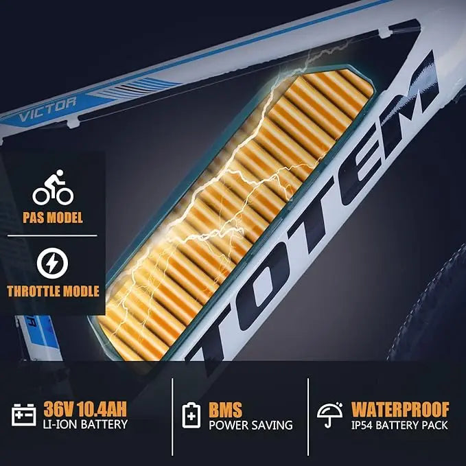 Victor Electric Bike Removable Battery Mountain eBike for Adults.