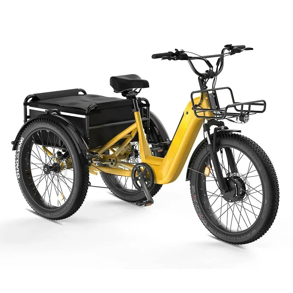 three wheel Electric Bike 500W Motor .