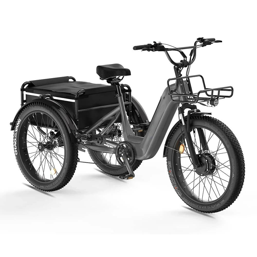 three wheel Electric Bike 500W Motor .