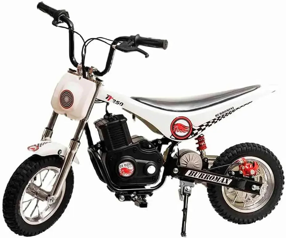 Electric Bike for kids, 2 Speeds, .