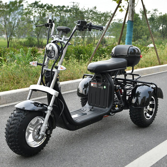 Citycoco Adult Electric 3 Wheel Scooter Motorcycle.