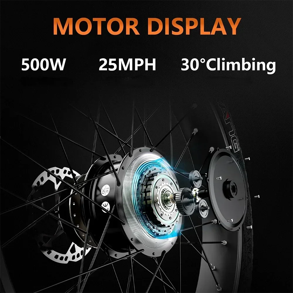 three wheel Electric Bike 500W Motor .
