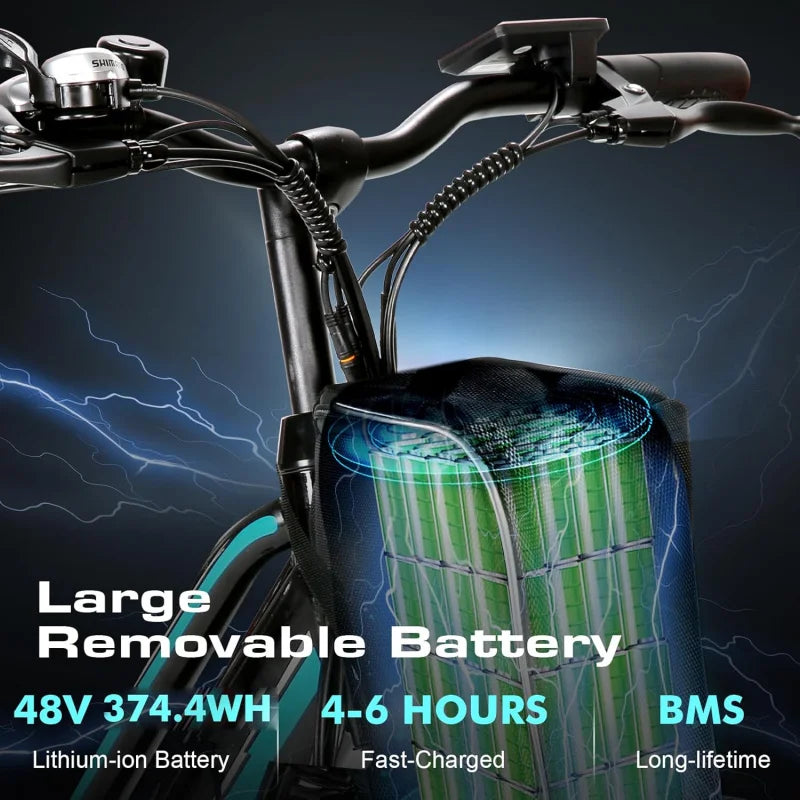 AVivi Electric Bike for Adults.