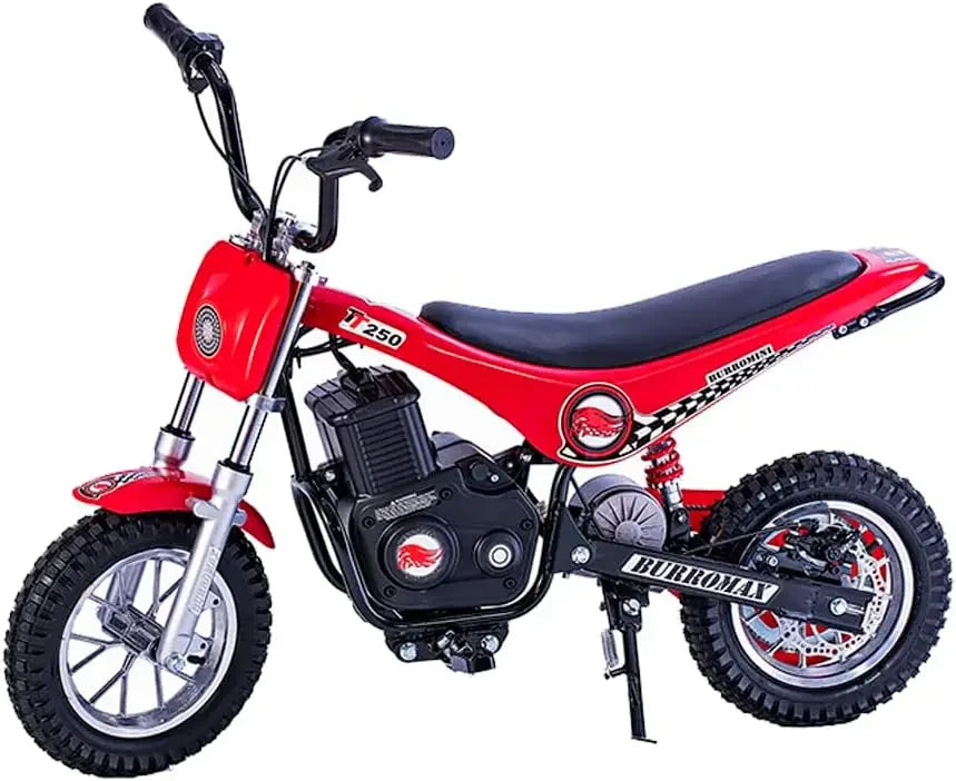 Electric Bike for kids, 2 Speeds, .