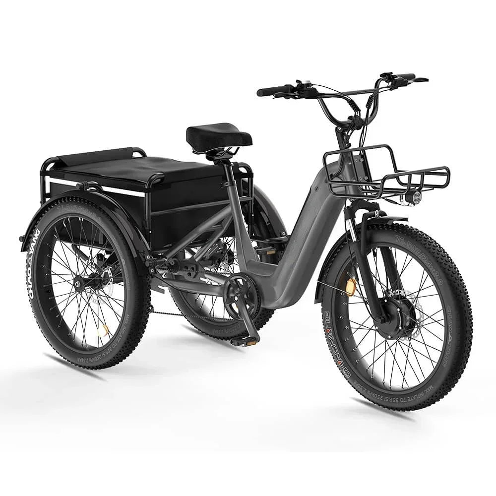 three wheel Electric Bike 500W Motor .